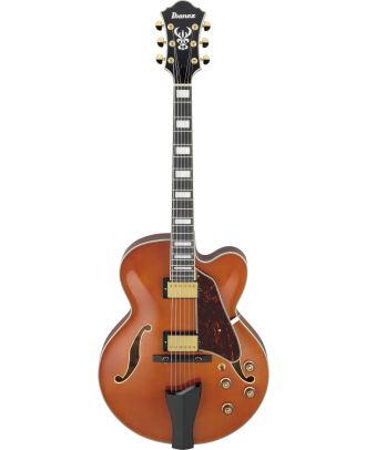 Ibanez E-Gitarre Artcore Express 6-String AF95-DA