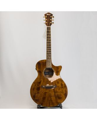 Westerngitarre Ibanez AE295LTD-NT