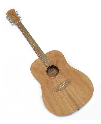 Cole Clark FL1-SSO