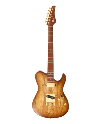 FGN E-Gitarre Expert Iliad in Hojicha Burst mit Koffer