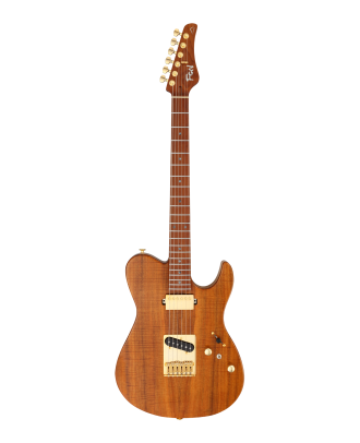 FGN E-Gitarre Expert Iliad in Vintage Natural mit Koffer
