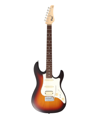 FGN E-Gitarre Expert Odyssey in Vintage Sunburst