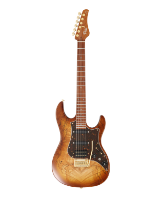 FGN E-Gitarre Expert Odyssey in Hojicha Burs mit Koffer