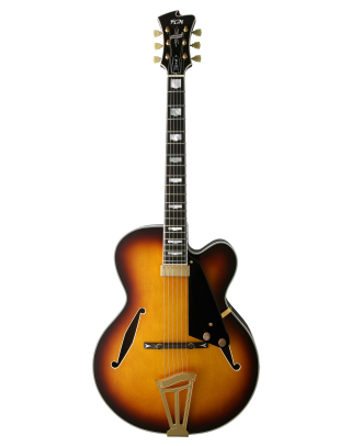 FGN E-Gitarre Masterfield Jazz FP in Jazz Natural