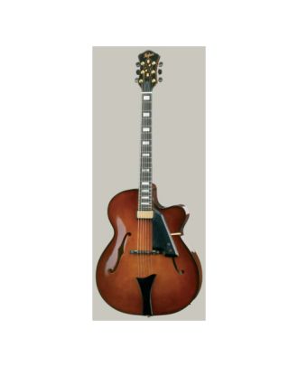 Jazzgitarre Höfner HC V0