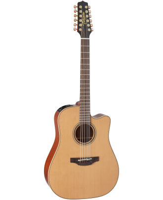Takamine P3DC 12-Saiter