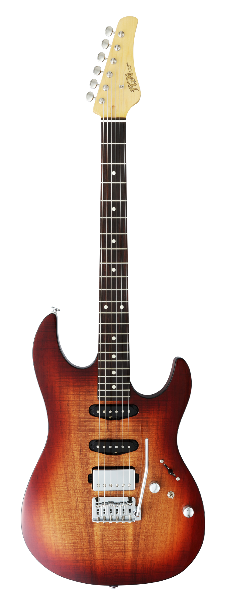 FGN E-Gitarre J-Standard Odyssey DU in Exotic Wood