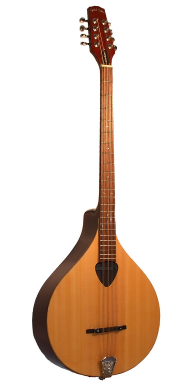 Irische Bouzouki Mandoline mit Hartschalenkoffer