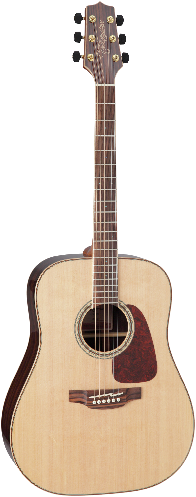 Takamine GD93N