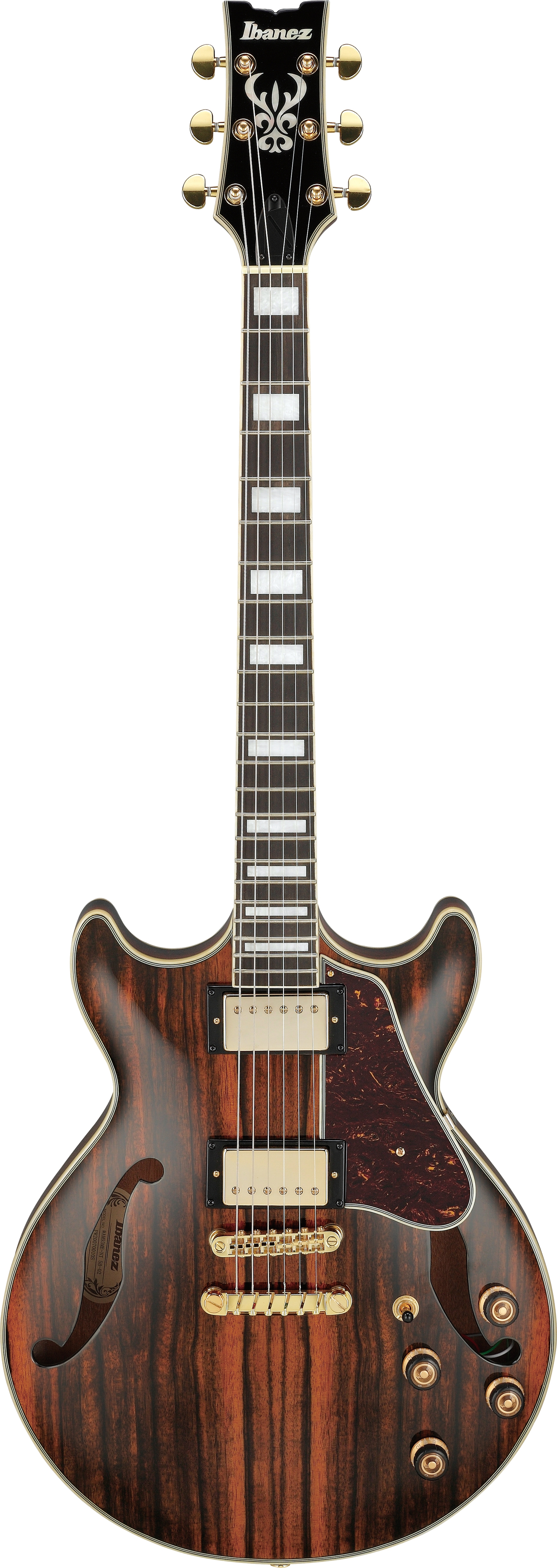 IBANEZ Artcore Expressionist AM93ME-NT
