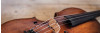 Die Bratsche: Charakter-Instrument mit warmem Klang