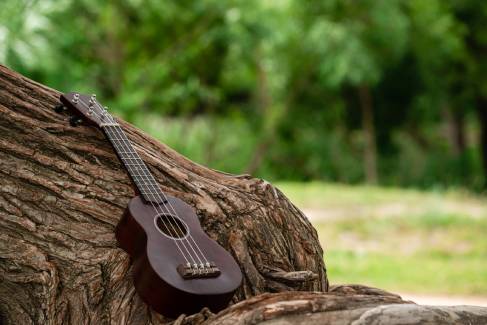 braune Ukulele auf einem Baumstamm